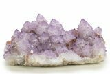 Spectacular Cactus Amethyst Crystal Cluster - South Africa #337111-1